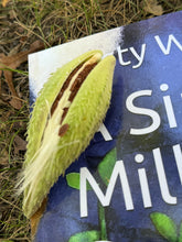 Load image into Gallery viewer, A Single Milkweed Seed Book and Seeds
